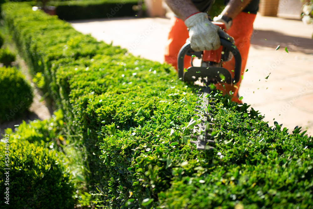 Seasonal Dock Maintenance Ontario services ensuring docks remain strong, safe, and durable throughout spring, summer, fall, and winter. Expert inspection, repair, and care for wooden and floating docks, including cleaning, hardware checks, and weatherproofing. Trusted Ontario professionals provide reliable maintenance solutions for waterfront properties, helping homeowners extend the life of their docks in every season.